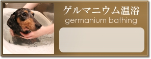 ゲルマニウム温浴