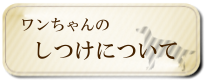 ワンちゃんのしつけについて