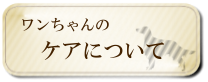 ワンちゃんのケアについて