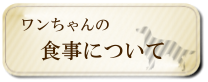 ワンちゃんの食事について