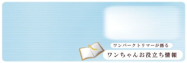 ワンちゃんのお役立ち情報
