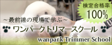 トリミングスクール