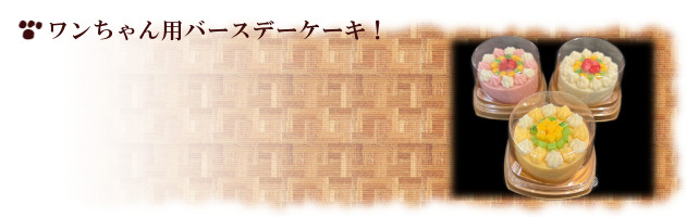 ワンコ用ドッグケーキ