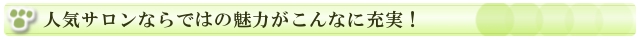 人気サロンならではの魅力が充実