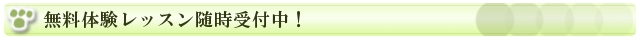 無料体験レッスン随時受付中